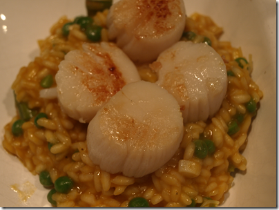 scallop risotto 