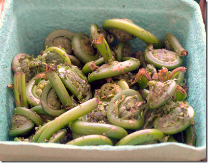 Fiddleheads at SoWa Market Boston