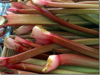 Rhubarb at SoWa Market 