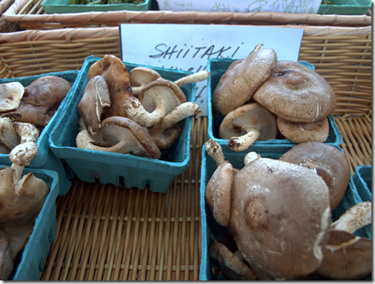 Shitake Mushrooms at SoWa Market 