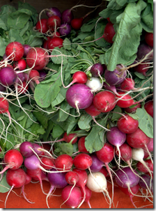 Copley Square Siena Farms Easter Egg Radishes 