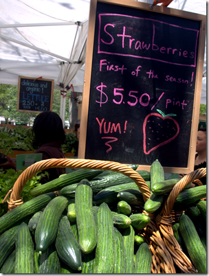 Copley Farmer's Market English Cucumbers 