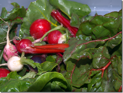 Radishes, Rainbow Chard, Kerrygold 