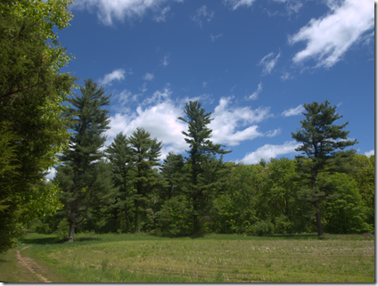 Great Brook Farm State Park 