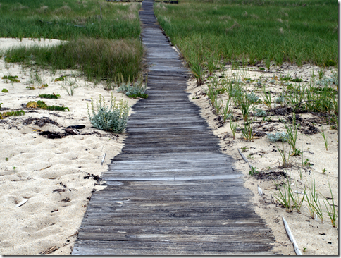 Cape Cod beach path 