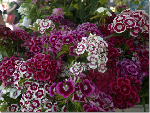 Copley Square Market Flowers