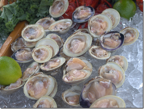 Littleneck Clams 