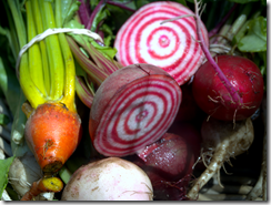 Siena Farms Rainbow Beets 