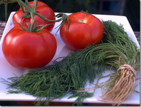 Tomatoes and Dill