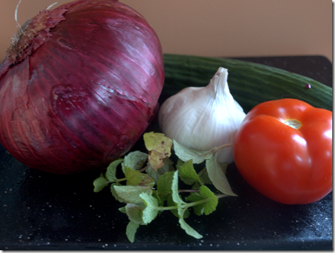 red onion, mint, garlic, tomato, cucumber for yogurt marinade, tzatziki 