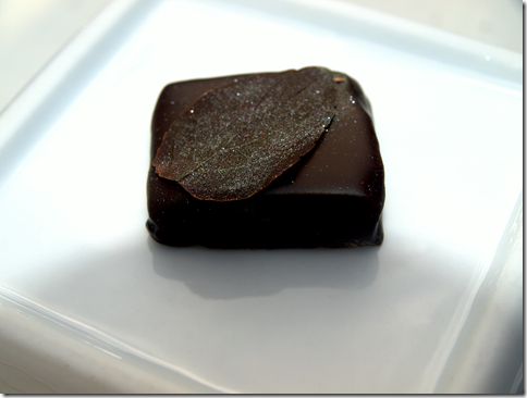 Vianne Chocolat mint chocolate 