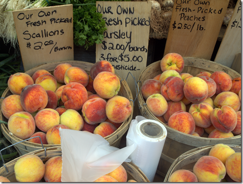 farmer's market peaches 