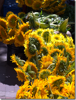 summer flowers 