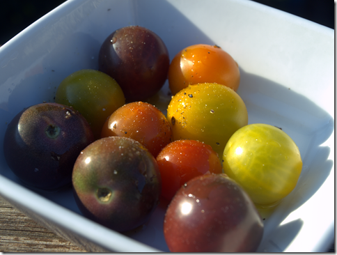 heirloom tomatoes 