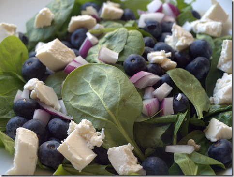 blueberry spinach salad 