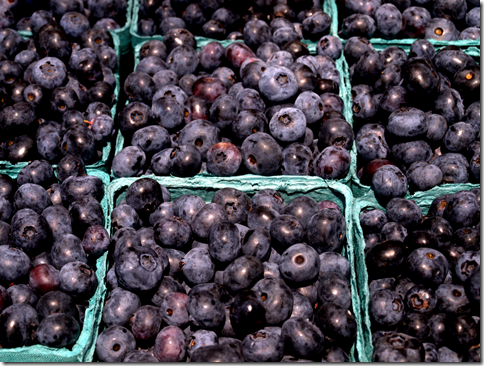 farmer's market blueberries 