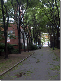 JFK Park Harvard 