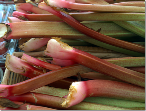 rhubarb