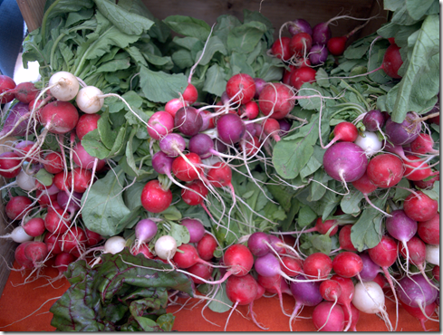 Easter Egg Radishes 