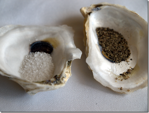 salt pepper in seashells