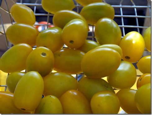 gold tomatoes