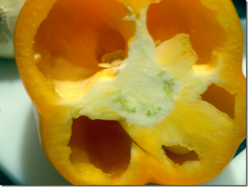 yellow pepper 