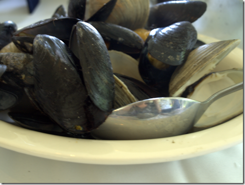 mussels