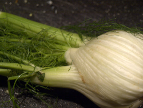 fennel 