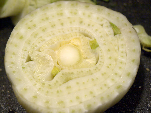 fennel bulb