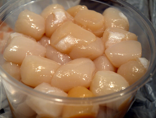 bay scallops