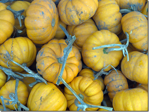 pumpkins