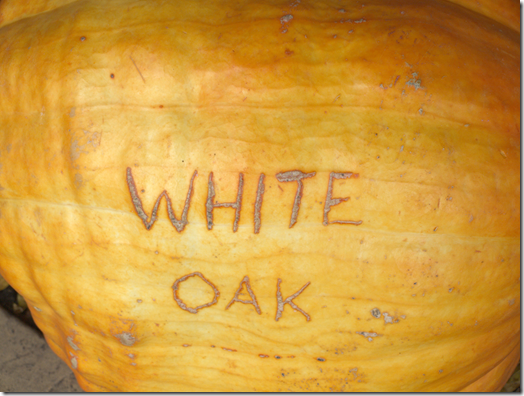White Oak Winery 