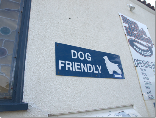 Dog friendly 