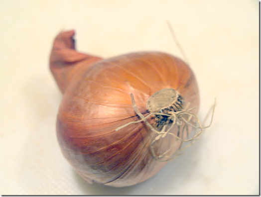 shallot