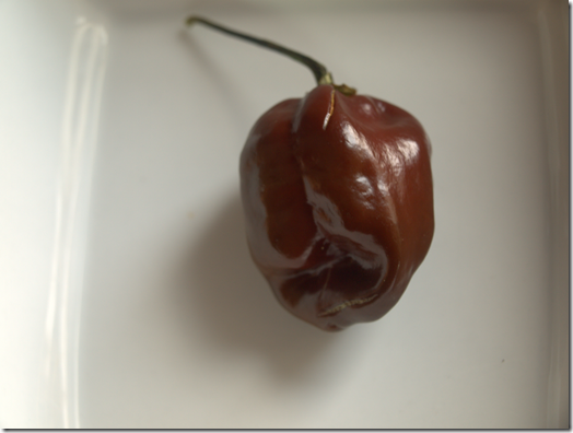 habanero