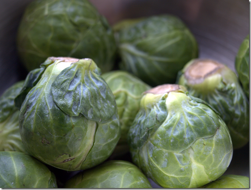 Brussels Sprouts