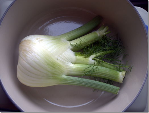 fennel