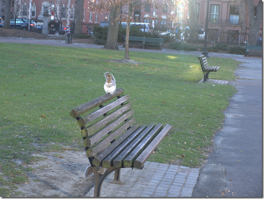 Boston Public Garden