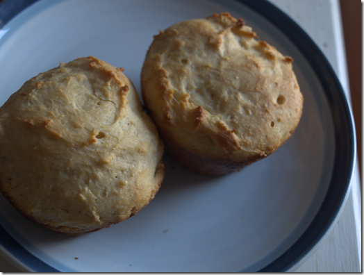 wheat dinner rolls