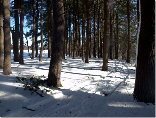 Weston Ski Track