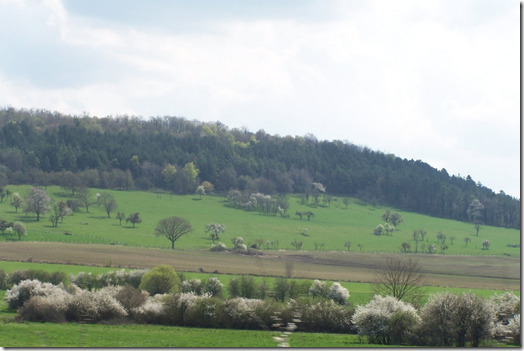 French countryside