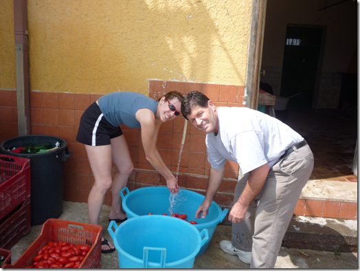 making tomato sauce in Italy