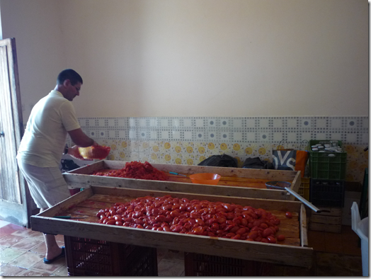 making tomato sauce in Italy