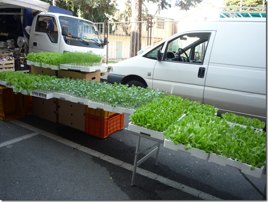 market in Italy