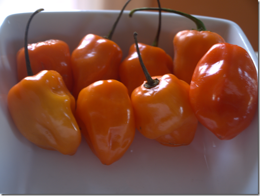 habanero hot sauce