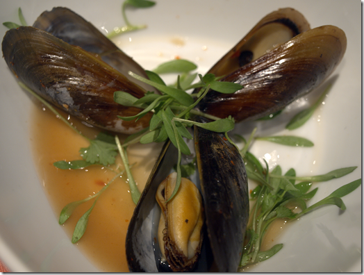 Thai sweet chili Atlantic mussels