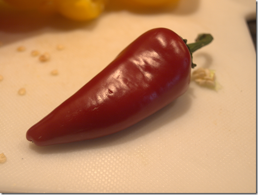 chili pepper