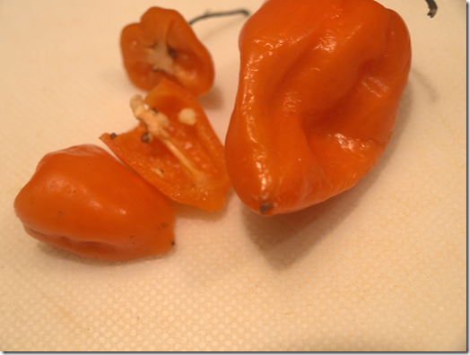 habanero peppers