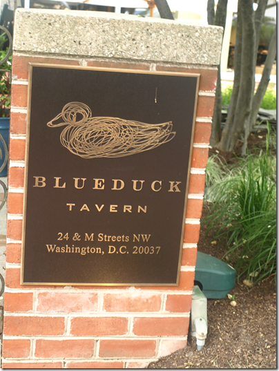 blue duck tavern
