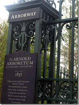 Arnold Arboretum